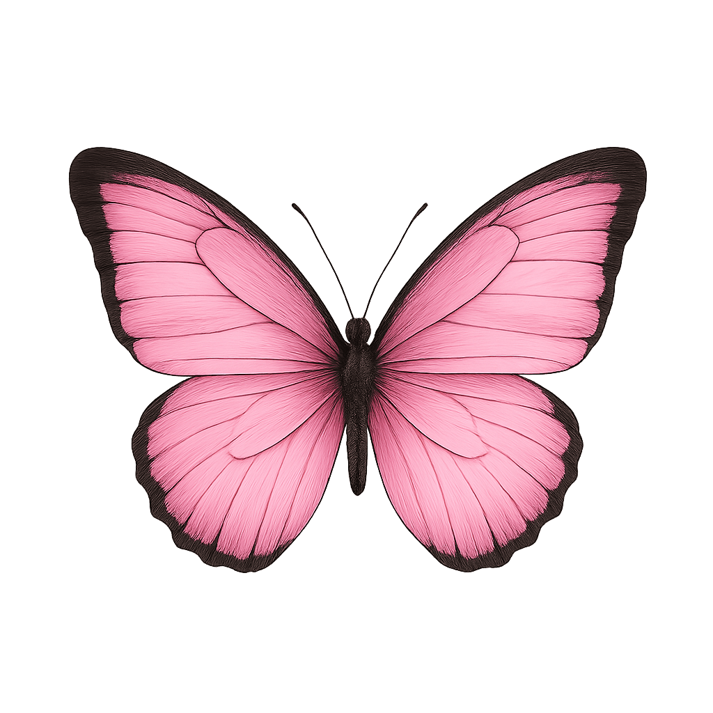 butterfly decoration