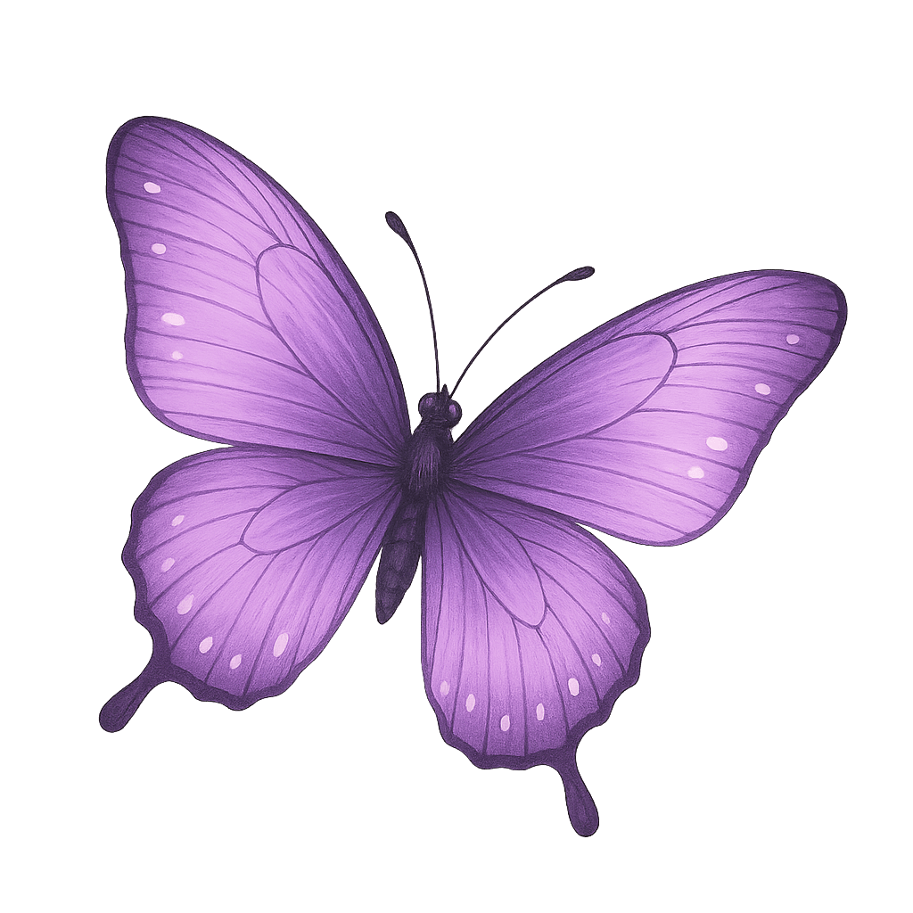 butterfly decoration