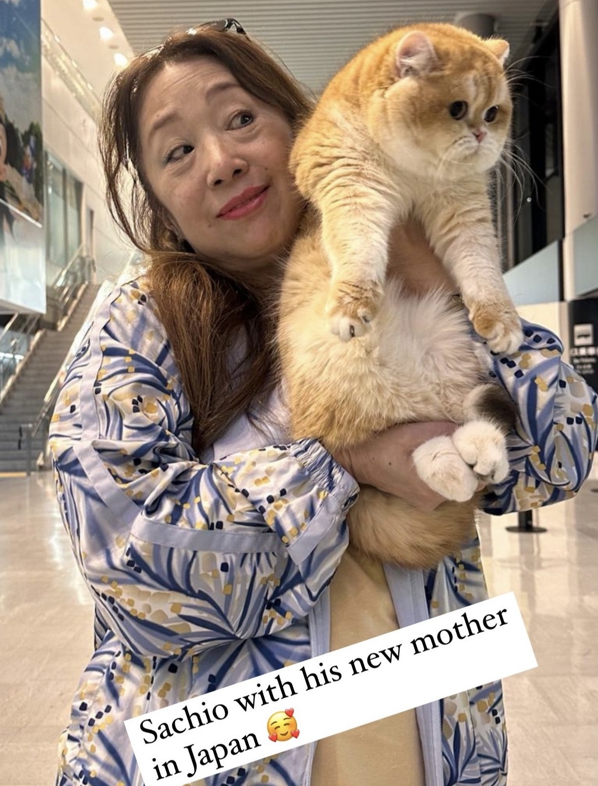 Owner with kitten
