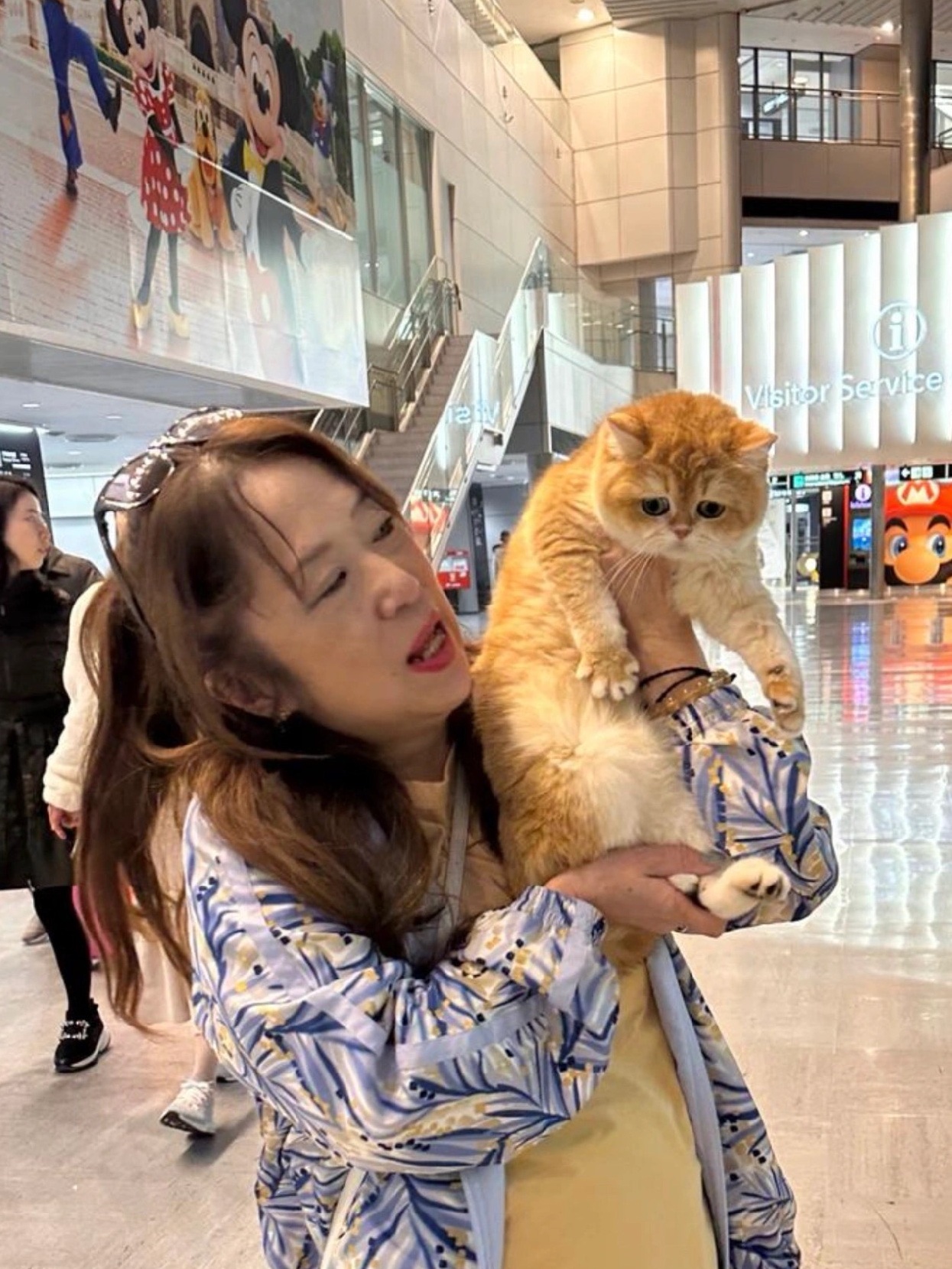 Owner with kitten