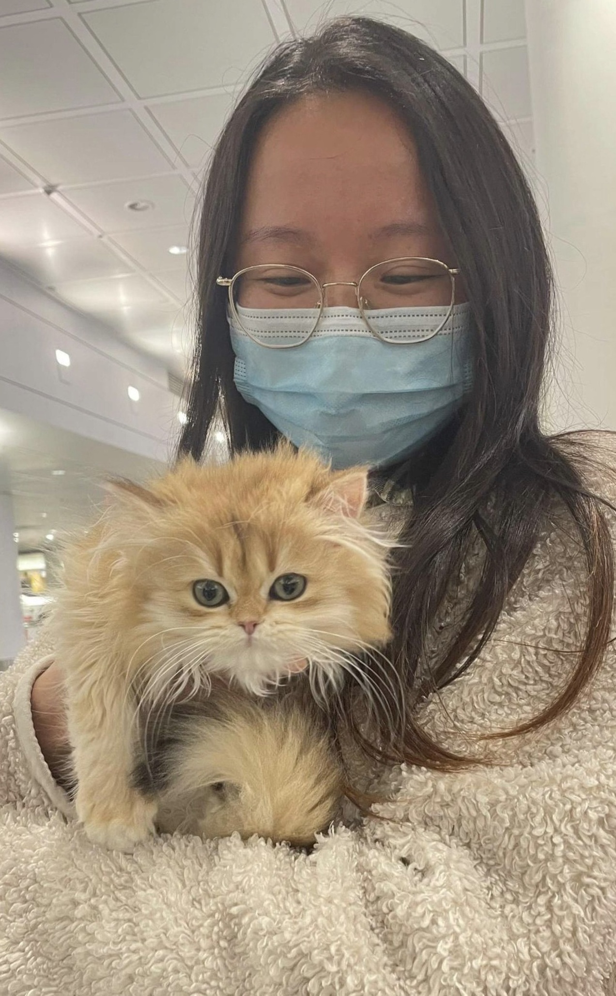 Owner with kitten