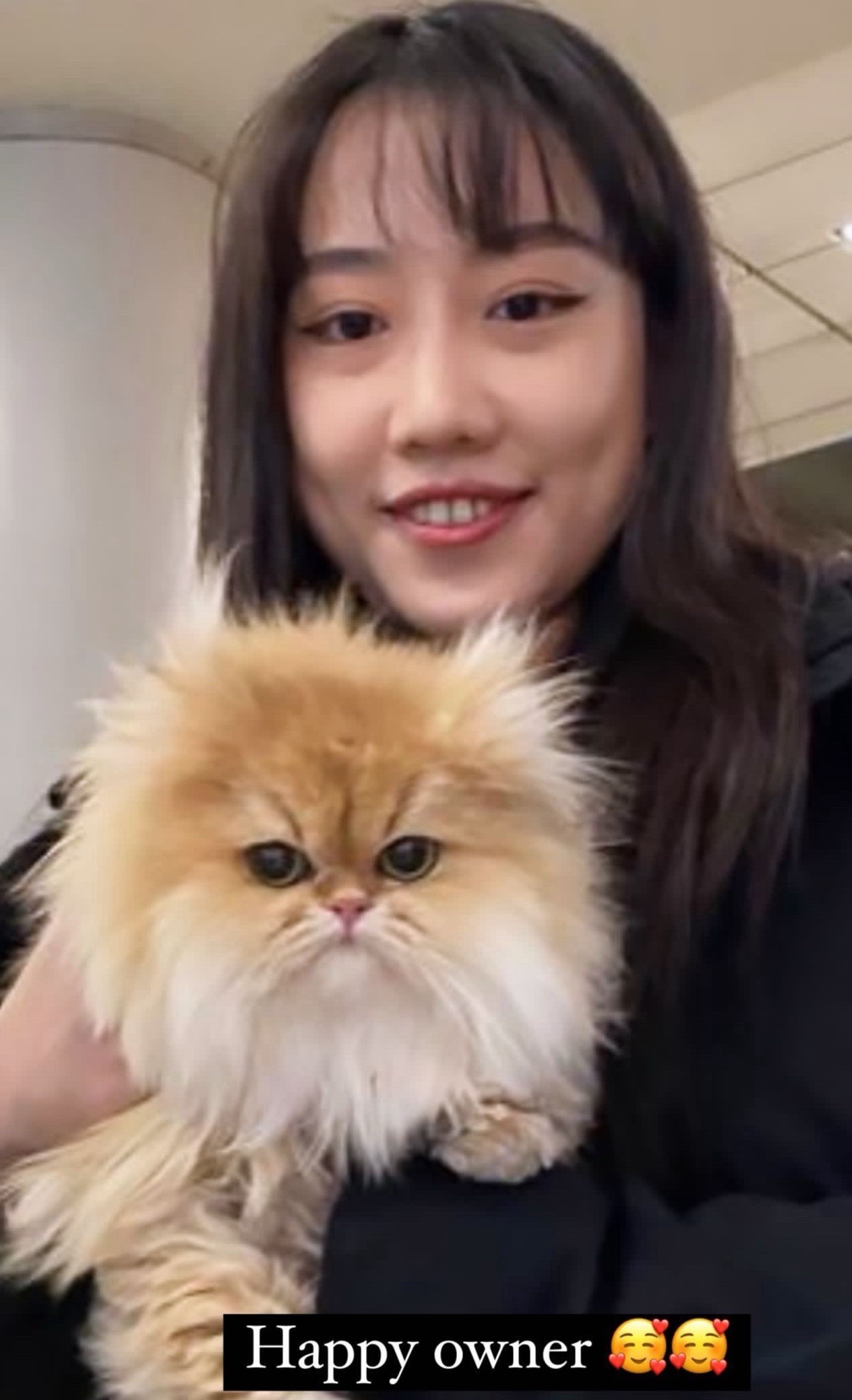 Owner with kitten