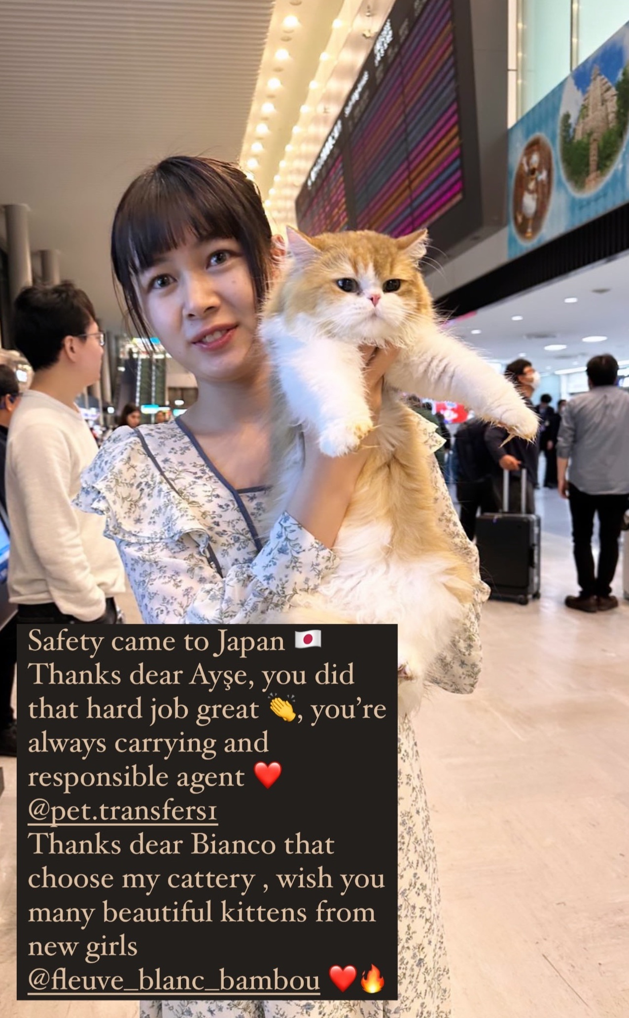 Owner with kitten