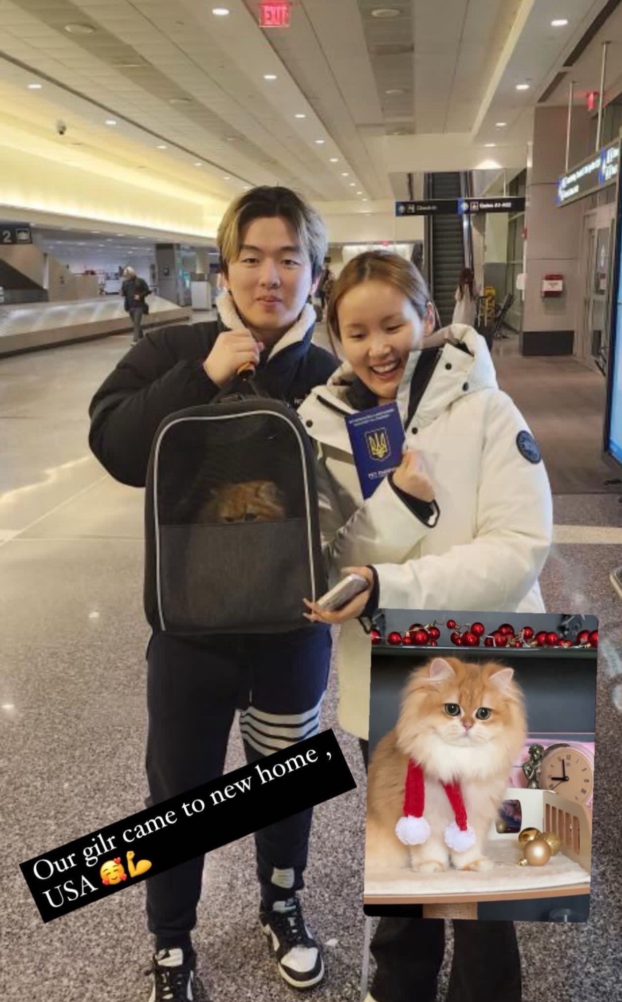 Owner with kitten
