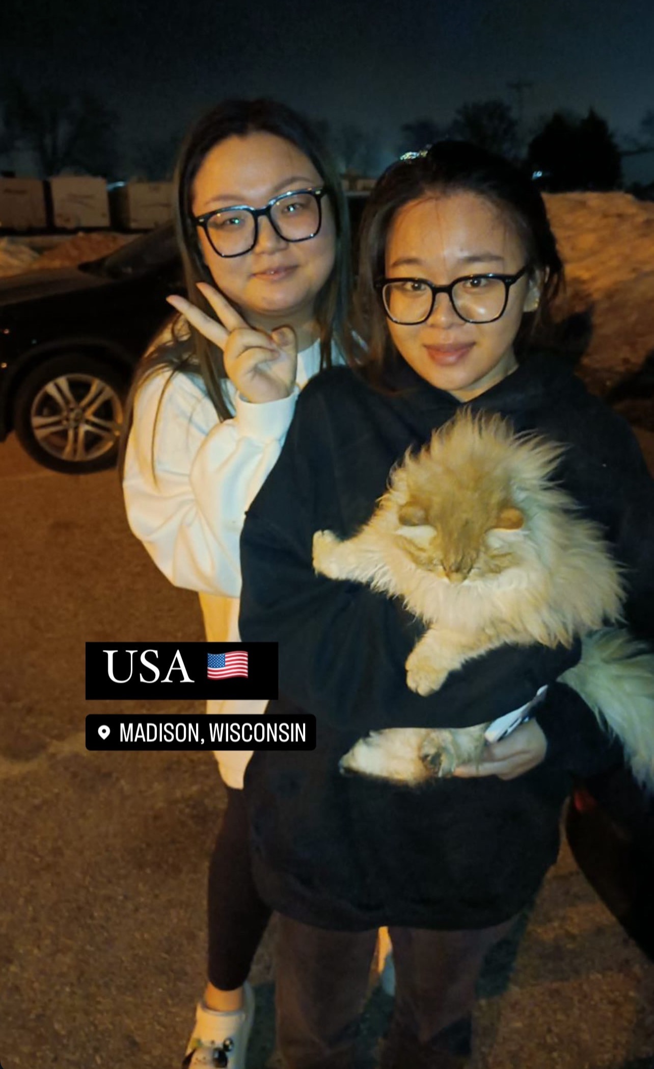 Owner with kitten