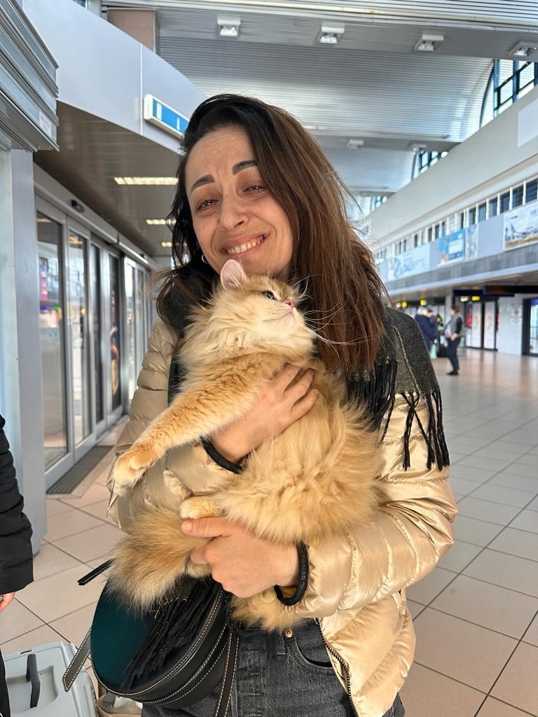 Owner with kitten