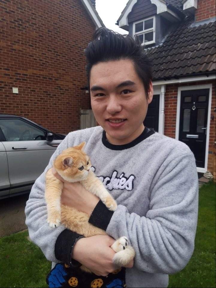 Owner with kitten