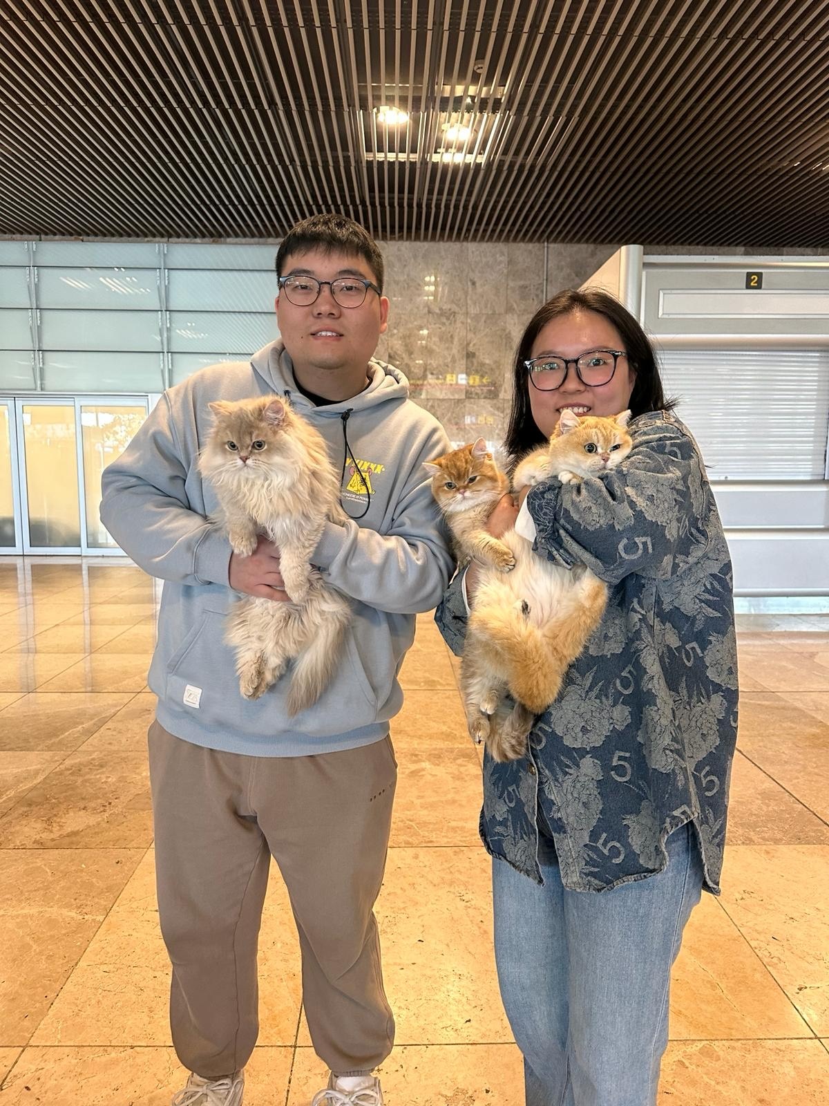 Owner with kitten