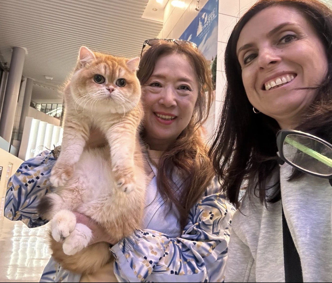 Owner with kitten