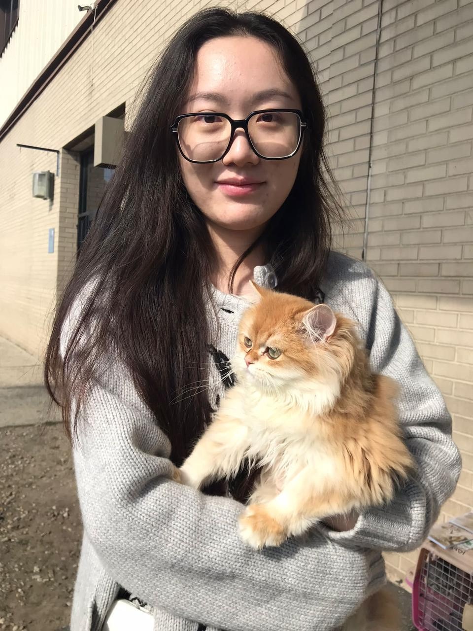 Owner with kitten
