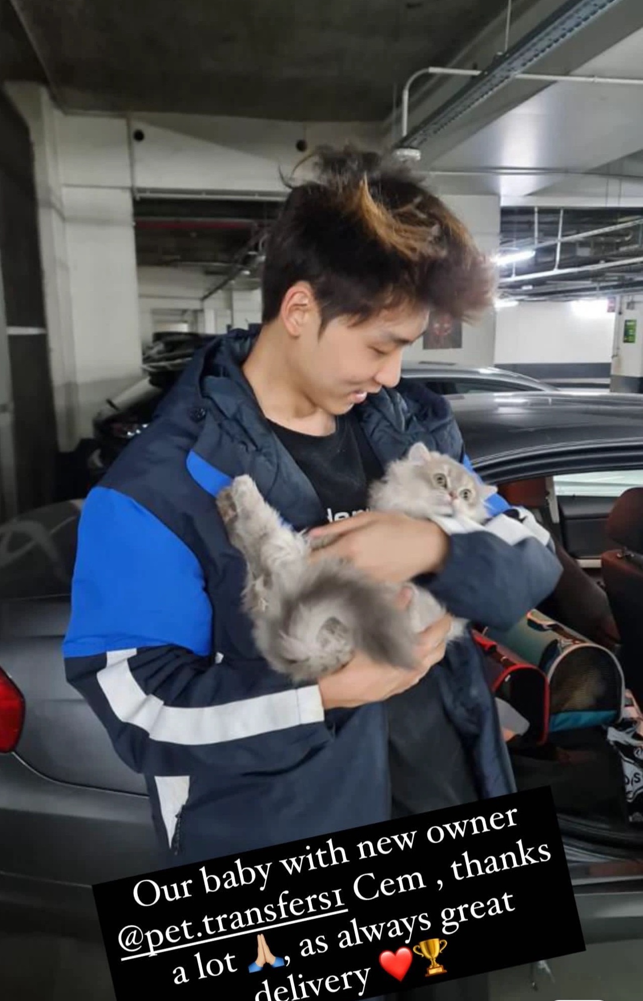 Owner with kitten