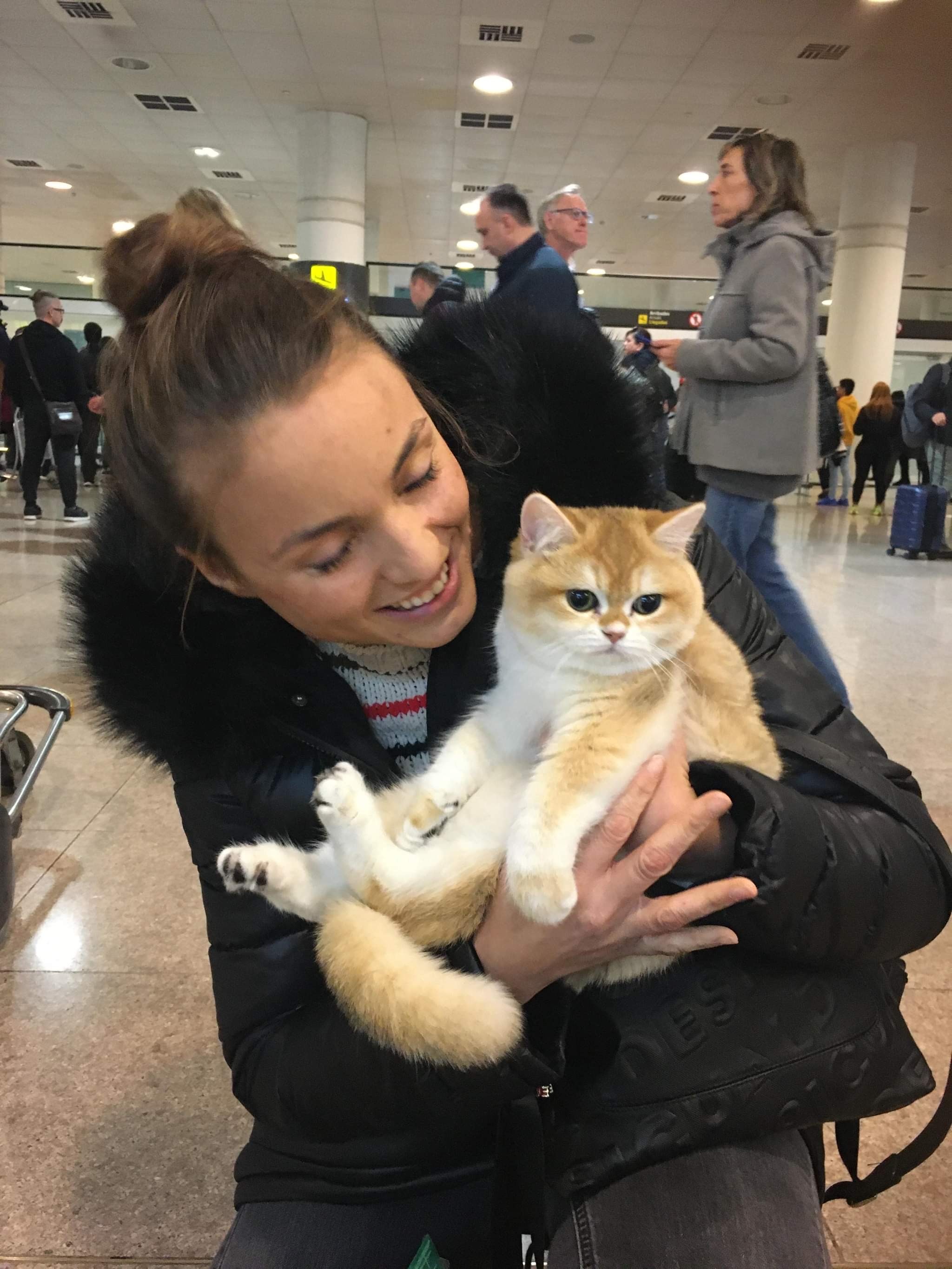 Owner with kitten