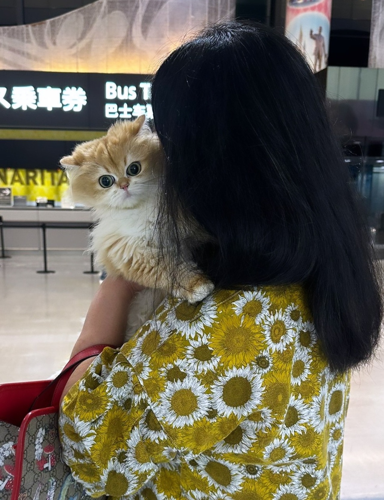 Owner with kitten